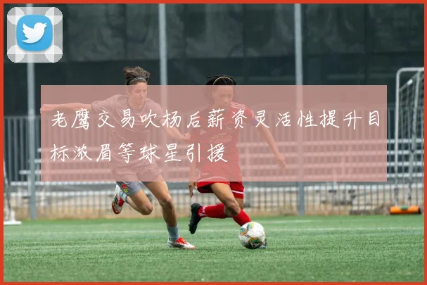 老鹰交易吹杨后薪资灵活性提升目标浓眉等球星引援